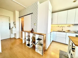 Pronájem bytu 1+kk, Brno, Chudčická, 40 m2