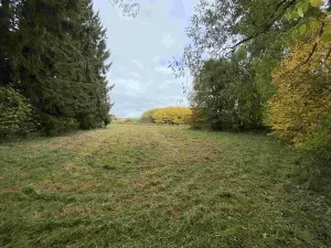 Dražba pozemku pro bydlení, Peč, 1275 m2