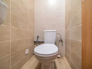 Pronájem obchodního prostoru, Plzeň, Dvorní, 127 m2