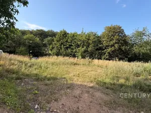 Prodej pozemku pro bydlení, Litvínov, 1259 m2