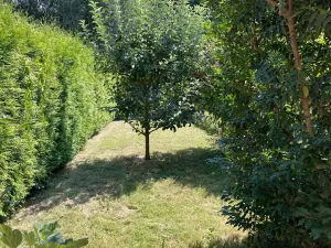 Prodej rodinného domu, Nupaky, K Parku, 130 m2