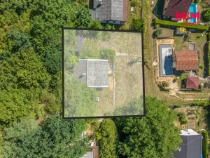 Prodej lesa, Tupadly, 5004 m2