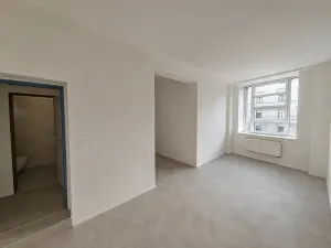 Prodej ubytování, Brno, Cejl, 60 m2