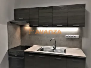 Prodej činžovního domu, Děčín, Kamenická, 261 m2