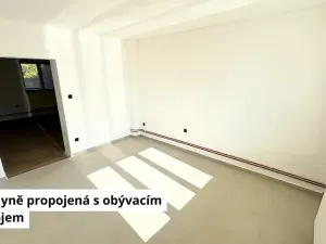 Prodej obchodního prostoru, Nová Včelnice, Nádražní ulice, 220 m2