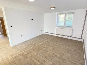 Prodej obchodního prostoru, Nová Včelnice, Nádražní ulice, 220 m2