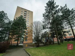 Pronájem bytu 1+kk, Brno, Žitná, 29 m2