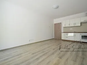 Pronájem bytu 1+kk, Olomouc, Frištenského, 32 m2