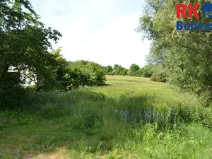 Prodej chalupy, Cholenice, 120 m2