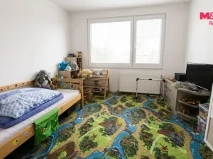Prodej bytu 3+1, Písek - Pražské Předměstí, Na Stínadlech, 65 m2