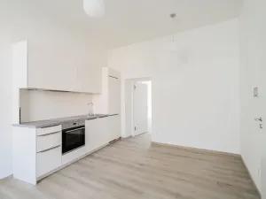 Pronájem bytu 2+kk, Praha - Nové Město, Václavské náměstí, 43 m2
