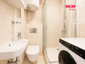 Prodej bytu 1+kk, Líšnice, Spálený Mlýn, 18 m2