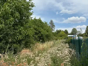 Prodej zahrady, Brno, 809 m2