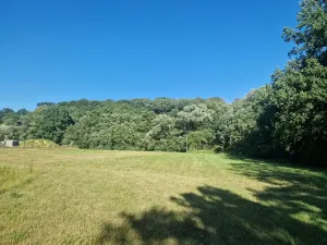 Prodej komerčního pozemku, Velká Polom, Okružní, 6038 m2