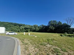 Prodej komerčního pozemku, Velká Polom, Okružní, 6038 m2