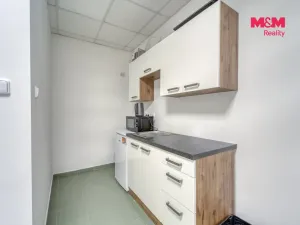 Pronájem obchodního prostoru, Plzeň - Lobzy, Blatenská, 360 m2