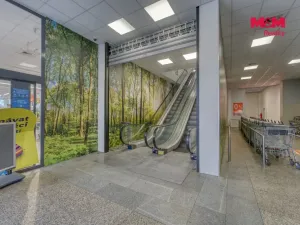 Pronájem obchodního prostoru, Plzeň - Východní Předměstí, Americká, 1603 m2