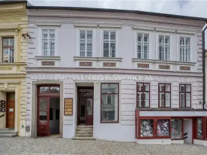 Pronájem obchodního prostoru, Třebíč, Hasskova, 127 m2