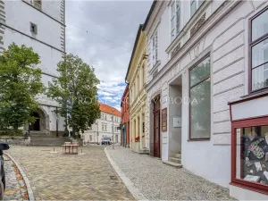 Pronájem kanceláře, Třebíč, Hasskova, 127 m2