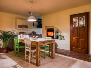 Prodej vícegeneračního domu, Pavlov, 354 m2