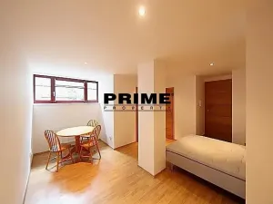 Pronájem rodinného domu, Praha - Veleslavín, Nad hradním potokem, 350 m2
