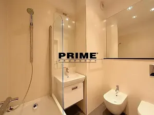 Pronájem bytu 6+kk a větší, Praha - Vinohrady, Chopinova, 204 m2