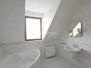 Pronájem rodinného domu, Praha - Střešovice, Nad hradním vodojemem, 350 m2