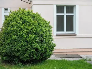 Prodej činžovního domu, Říčany, Legií, 500 m2