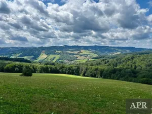 Prodej pozemku pro bydlení, Žítková, 6433 m2