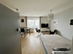 Prodej bytu 1+kk, České Budějovice - České Budějovice 2, Spojovací, 35 m2
