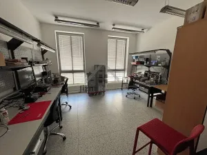 Pronájem kanceláře, České Budějovice, Fráni Šrámka, 250 m2