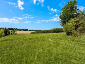 Prodej pozemku, Horní Branná - Valteřice, 3767 m2
