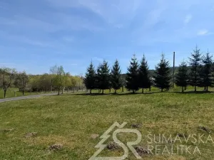 Prodej pozemku, Soběšice, 8878 m2