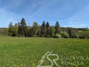 Prodej pozemku, Soběšice, 8869 m2