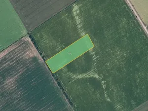 Prodej pole, Olšany u Prostějova, 5429 m2
