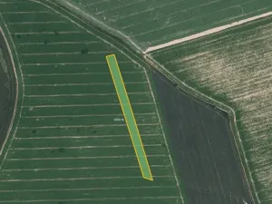 Prodej pole, Olomouc, 9072 m2