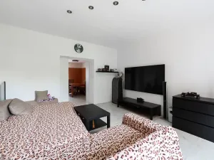 Prodej vícegeneračního domu, Nová Ves, 200 m2