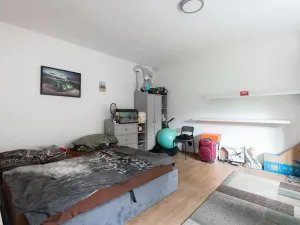 Prodej vícegeneračního domu, Nová Ves, 200 m2