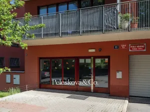 Prodej bytu 4+kk, Praha - Záběhlice, Podle náhonu, 136 m2