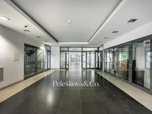 Prodej bytu 2+kk, Praha - Holešovice, Na Maninách, 52 m2