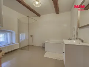 Prodej ubytování, Pňovany, 450 m2