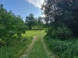 Prodej pozemku pro bydlení, Světlá Hora - Dětřichovice, 3506 m2