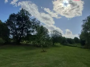 Prodej pozemku pro bydlení, Světlá Hora - Dětřichovice, 3506 m2