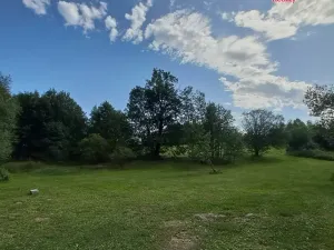 Prodej pozemku pro bydlení, Světlá Hora - Dětřichovice, 3506 m2