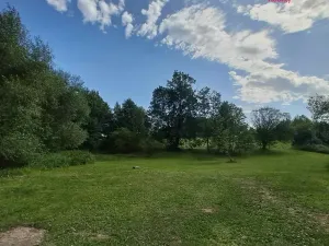 Prodej pozemku pro bydlení, Světlá Hora - Dětřichovice, 3506 m2