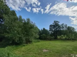 Prodej pozemku pro bydlení, Světlá Hora - Dětřichovice, 3506 m2