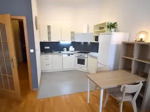 Pronájem bytu 1+kk, Praha - Vinohrady, Sázavská, 35 m2