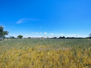 Prodej louky, Vodňany, 3872 m2