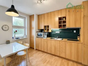 Pronájem bytu 1+kk, Brno, Kristenova, 58 m2