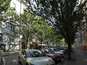 Pronájem bytu 2+kk, Praha - Dejvice, Mařákova, 55 m2